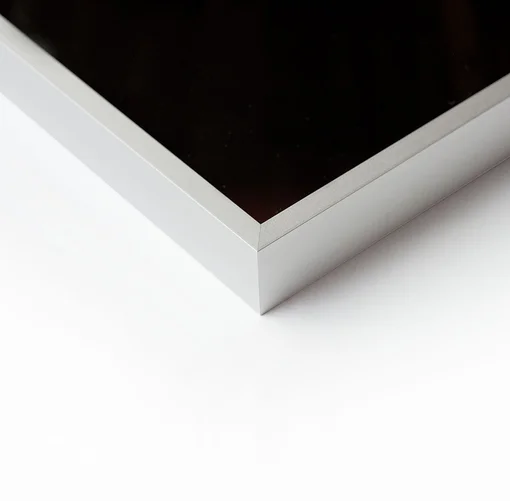 Detail Cadre Alpha Argent Mat
