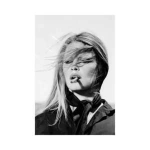 Affiche Brigitte Bardot